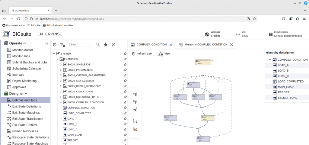 BICsuite hierarchy visualisation