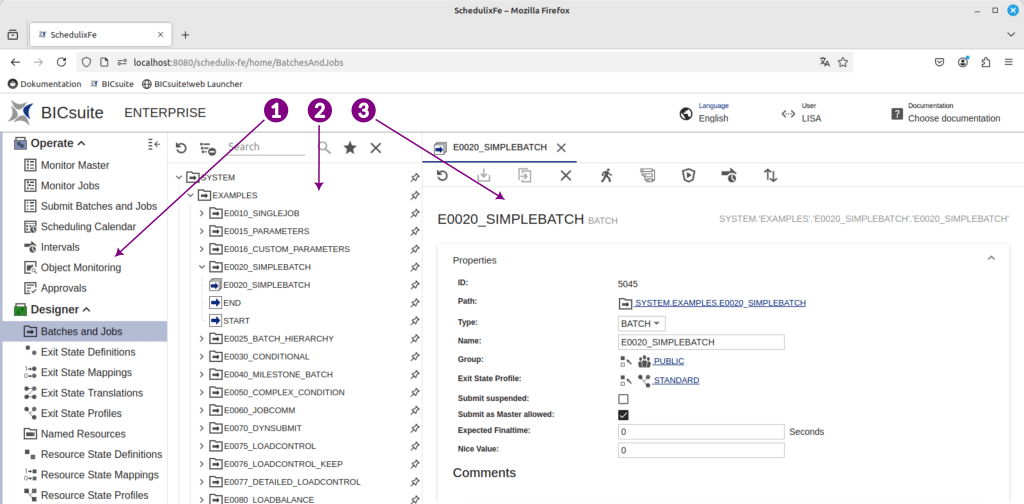 BICsuite frontend elements